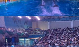 大连旅游一日游攻略