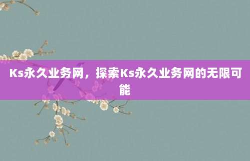Ks永久业务网，探索Ks永久业务网的无限可能