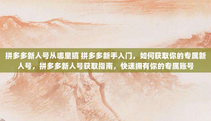 拼多多新人号从哪里搞 拼多多新手入门，如何获取你的专属新人号，拼多多新人号获取指南，快速拥有你的专属账号