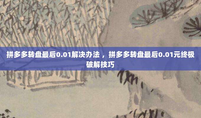 拼多多转盘最后0.01解决办法 ，拼多多转盘最后0.01元终极破解技巧