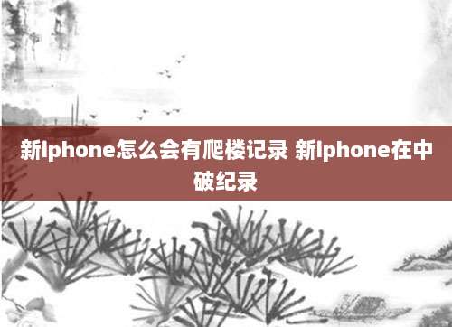 新iphone怎么会有爬楼记录 新iphone在中破纪录