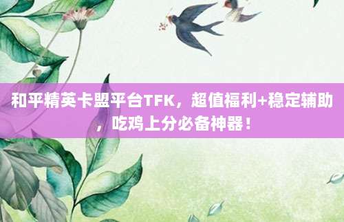 和平精英卡盟平台TFK，超值福利+稳定辅助，吃鸡上分必备神器！