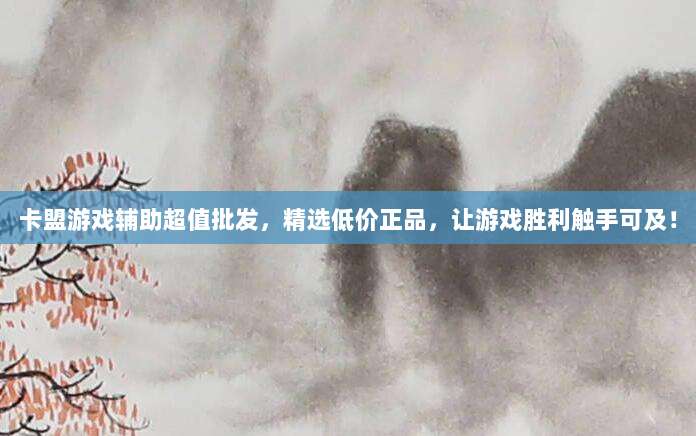 卡盟游戏辅助超值批发，精选低价正品，让游戏胜利触手可及！