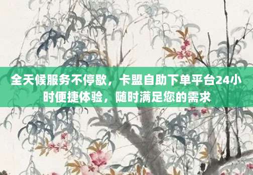 全天候服务不停歇，卡盟自助下单平台24小时便捷体验，随时满足您的需求