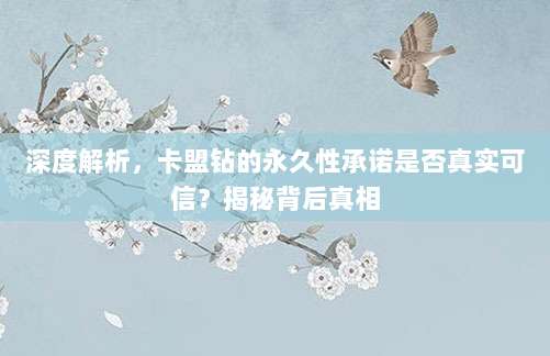 深度解析，卡盟钻的永久性承诺是否真实可信？揭秘背后真相