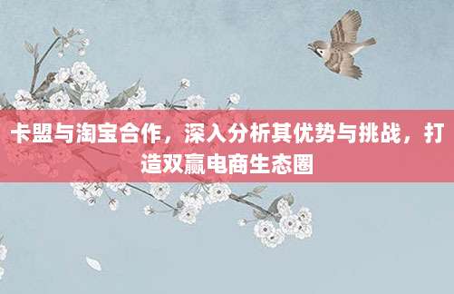 卡盟与淘宝合作，深入分析其优势与挑战，打造双赢电商生态圈