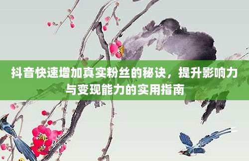 抖音快速增加真实粉丝的秘诀，提升影响力与变现能力的实用指南