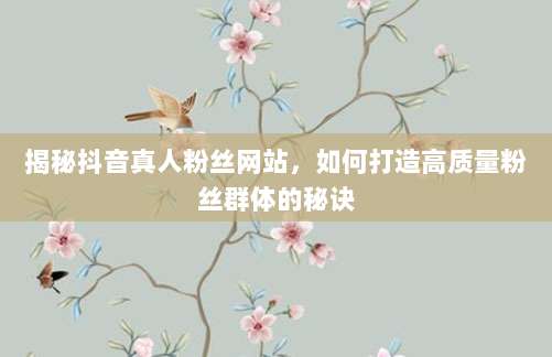 揭秘抖音真人粉丝网站，如何打造高质量粉丝群体的秘诀