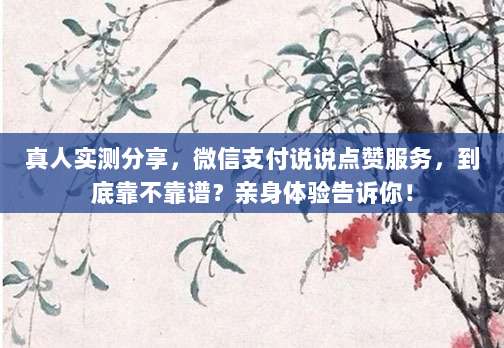 真人实测分享，微信支付说说点赞服务，到底靠不靠谱？亲身体验告诉你！