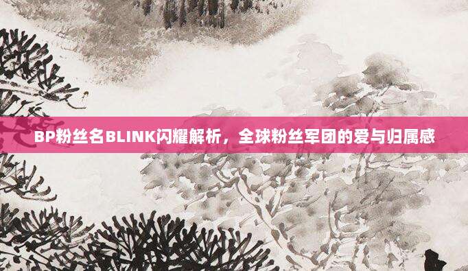 BP粉丝名BLINK闪耀解析，全球粉丝军团的爱与归属感