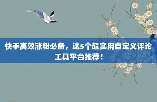 快手高效涨粉必备，这5个超实用自定义评论工具平台推荐！