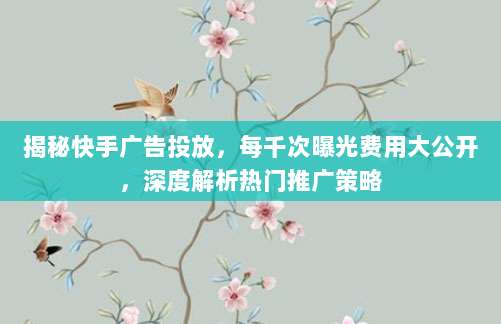揭秘快手广告投放，每千次曝光费用大公开，深度解析热门推广策略