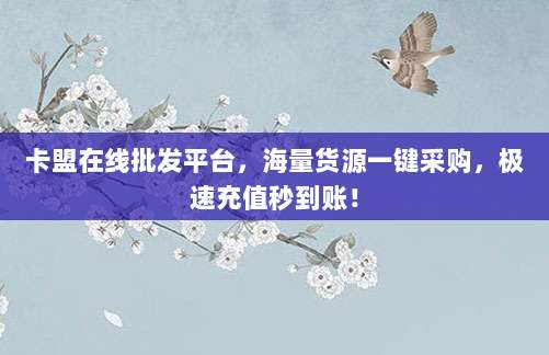 卡盟在线批发平台，海量货源一键采购，极速充值秒到账！