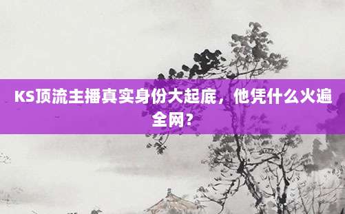 KS顶流主播真实身份大起底,他凭什么火遍全网?