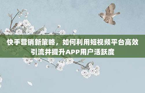 快手营销新策略，如何利用短视频平台高效引流并提升APP用户活跃度