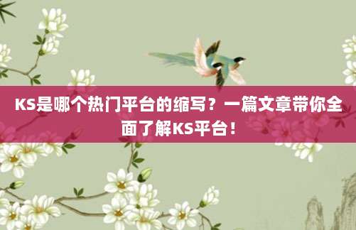 KS是哪个热门平台的缩写？一篇文章带你全面了解KS平台！