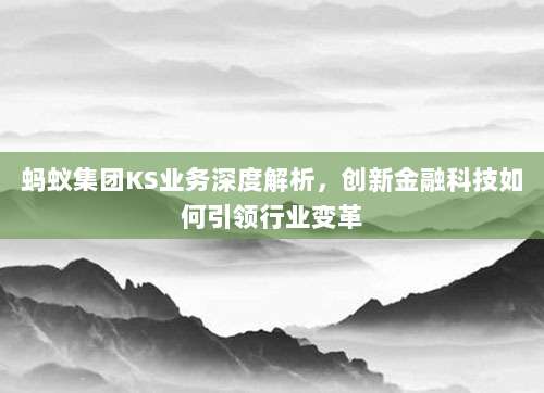 蚂蚁集团KS业务深度解析，创新金融科技如何引领行业变革