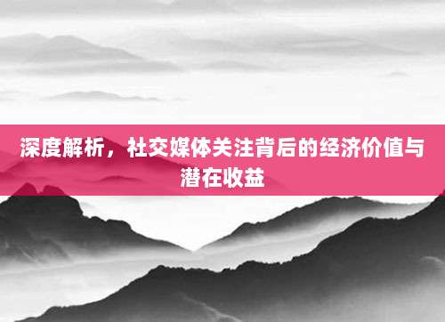 深度解析，社交媒体关注背后的经济价值与潜在收益