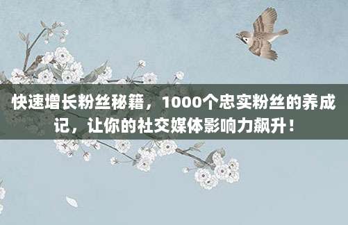 快速增长粉丝秘籍，1000个忠实粉丝的养成记，让你的社交媒体影响力飙升！