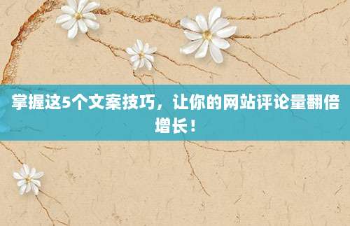 掌握这5个文案技巧，让你的网站评论量翻倍增长！