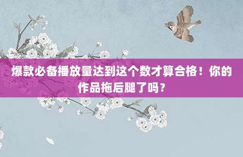 爆款必备播放量达到这个数才算合格！你的作品拖后腿了吗？