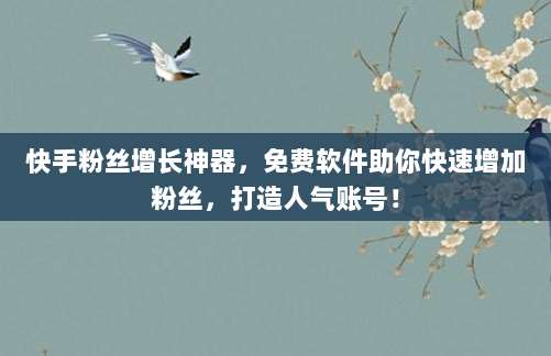 快手粉丝增长神器，免费软件助你快速增加粉丝，打造人气账号！