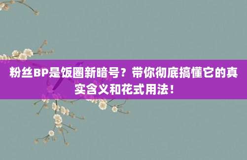 粉丝BP是饭圈新暗号？带你彻底搞懂它的真实含义和花式用法！