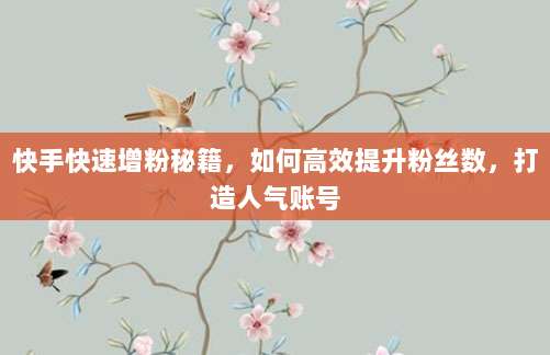 快手快速增粉秘籍，如何高效提升粉丝数，打造人气账号