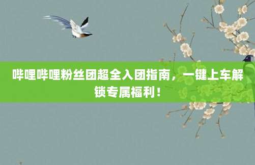 哔哩哔哩粉丝团超全入团指南，一键上车解锁专属福利！