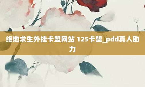 绝地求生外挂卡盟网站 125卡盟_pdd真人助力