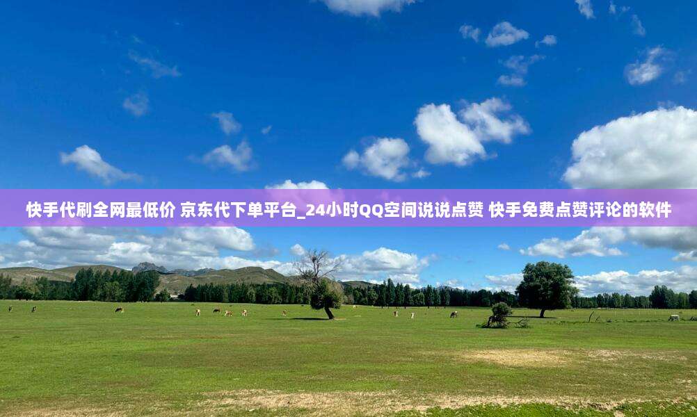 快手代刷全网最低价 京东代下单平台_24小时QQ空间说说点赞 快手免费点赞评论的软件