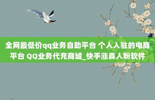 全网最低价qq业务自助平台 个人入驻的电商平台 QQ业务代充商城_快手涨真人粉软件